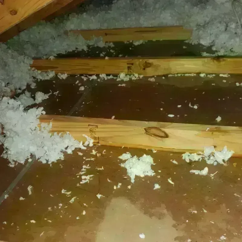 Attic Water Damage in Henderson County, NC