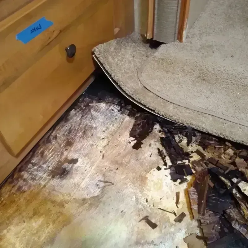 Wood Floor Water Damage in Henderson County, NC